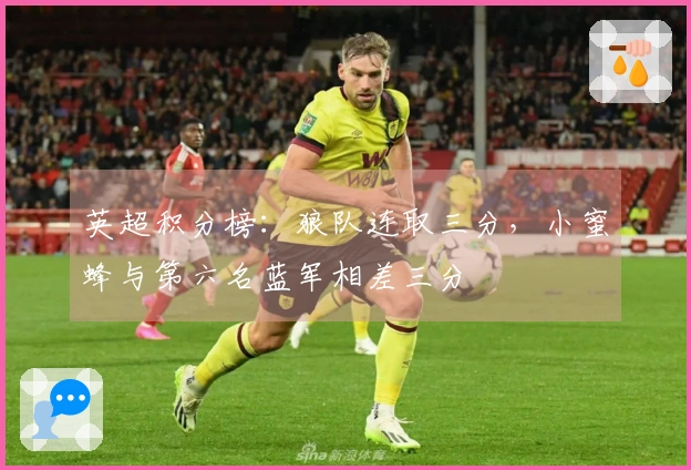 英超积分榜：狼队连取三分，小蜜蜂与第六名蓝军相差三分