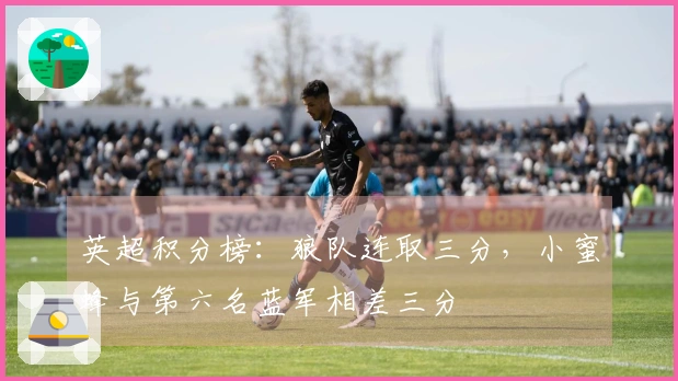 英超积分榜：狼队连取三分，小蜜蜂与第六名蓝军相差三分